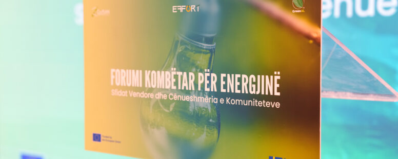 Forumi Kombëtar për Energjinë – Shqipëria përballë sfidave energjetike